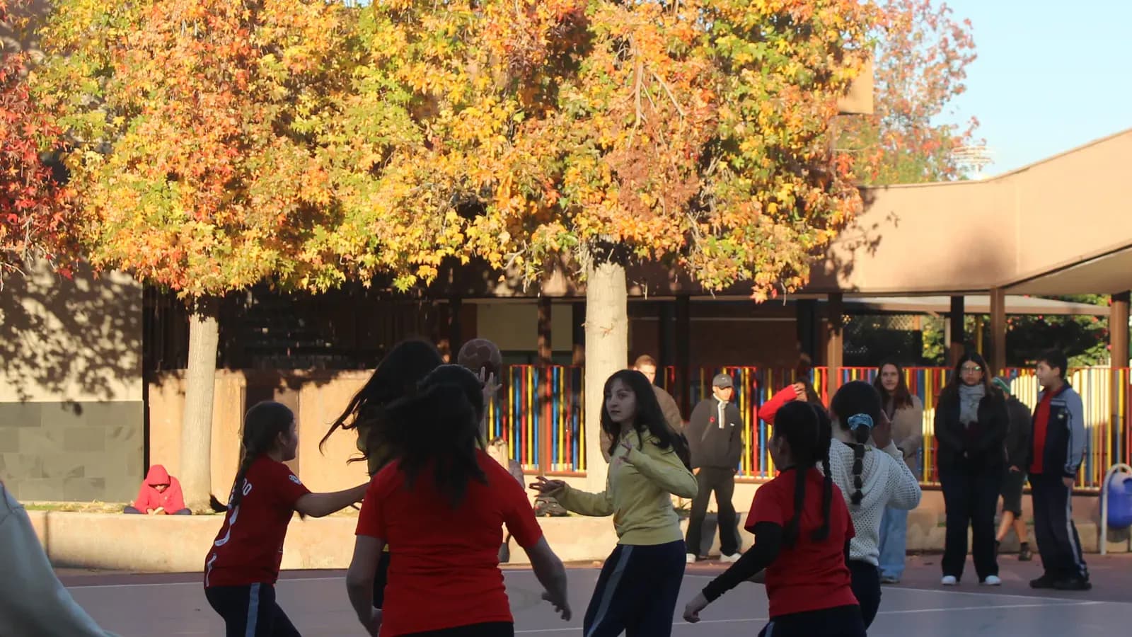 Estudiantes participan en una actividad deportiva en el patio, frente a la fachada del colegio.