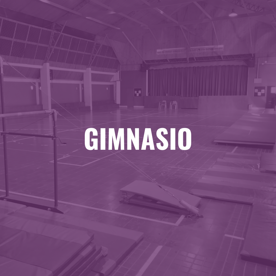 GIMNASIO